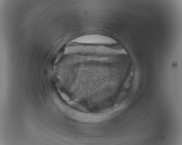 X0000113860048200910221451