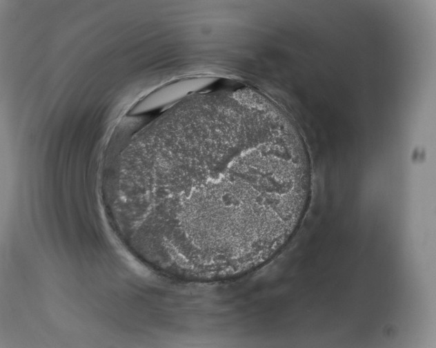 X0000113860049200910221450