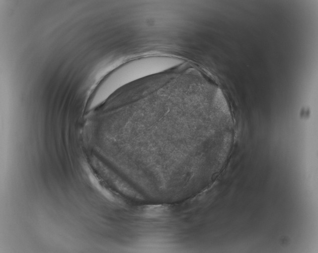 X0000113860050200910221450