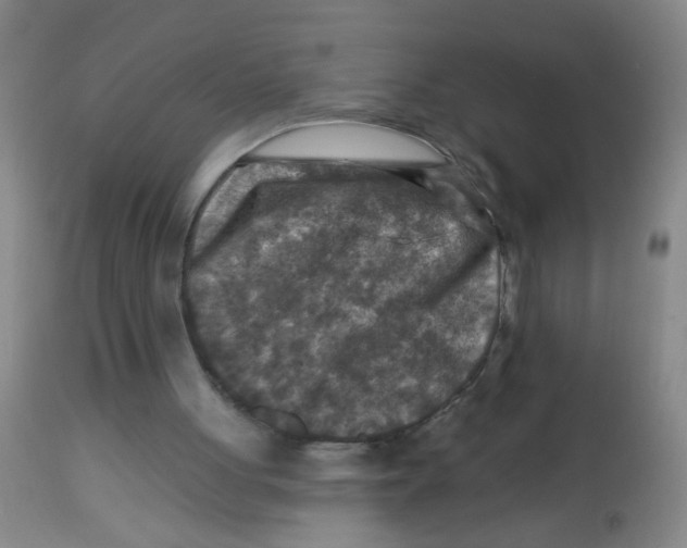 X0000113860051200910221450
