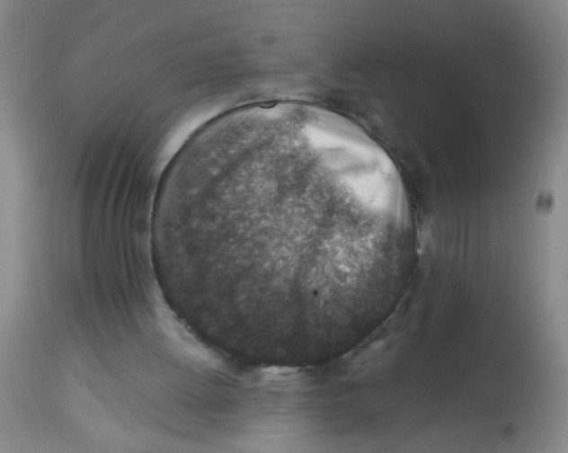 X0000113860052200910221450