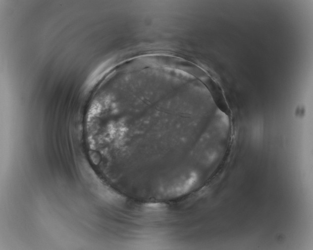 X0000113860053200910221450