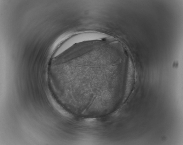 X0000113860054200910221450
