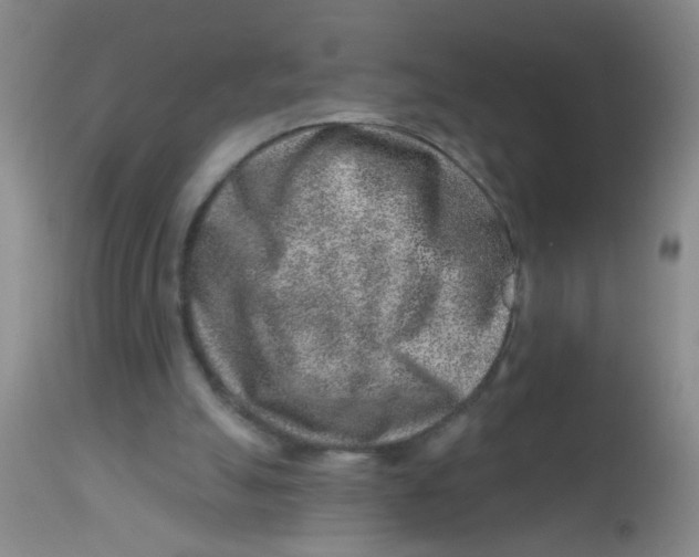 X0000113860055200910221450