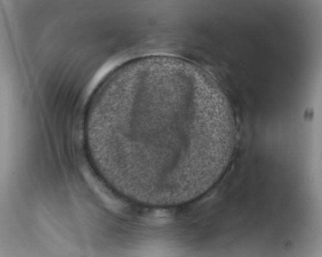 X0000113860056200910221450