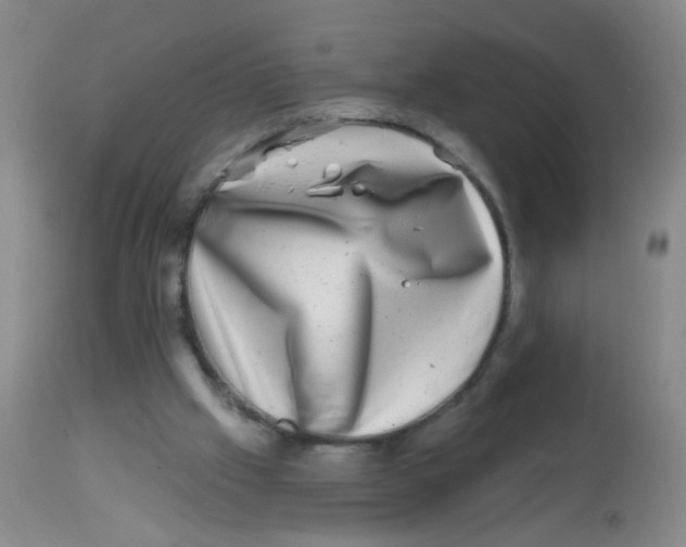 X0000113860057200910221450