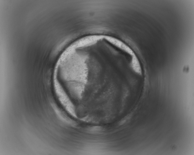 X0000113860058200910221450