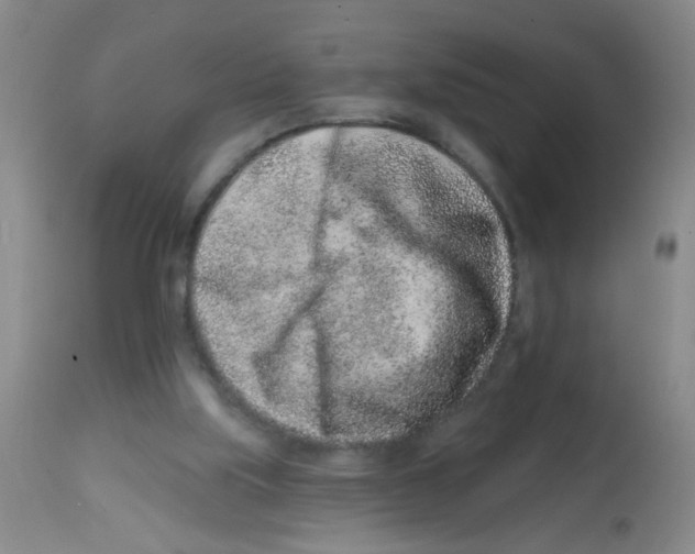X0000113860059200910221450