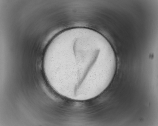X0000113860060200910221450