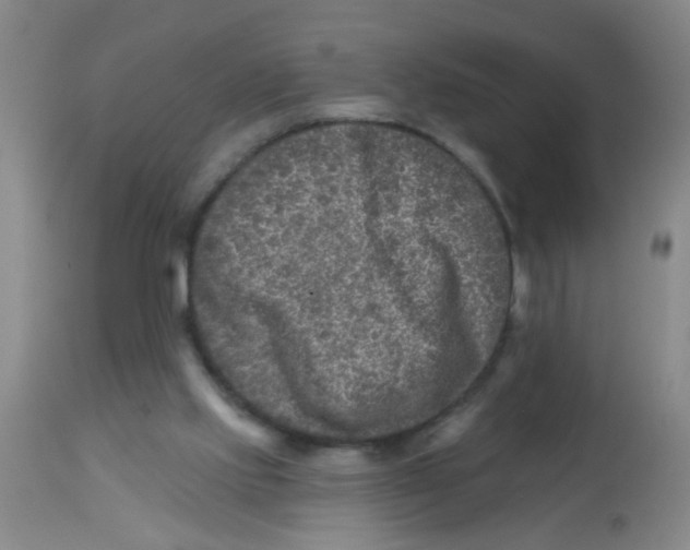 X0000113860061200910221450