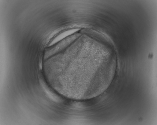 X0000113860062200910221450