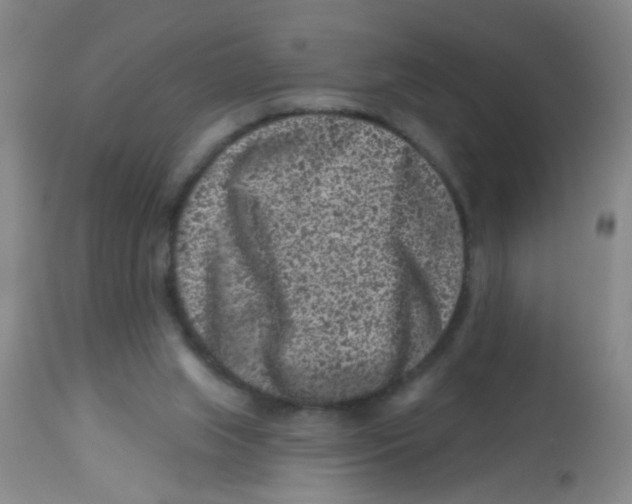 X0000113860063200910221450