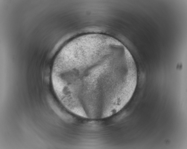 X0000113860064200910221450