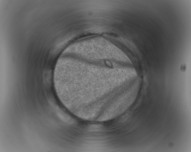 X0000113860066200910221450