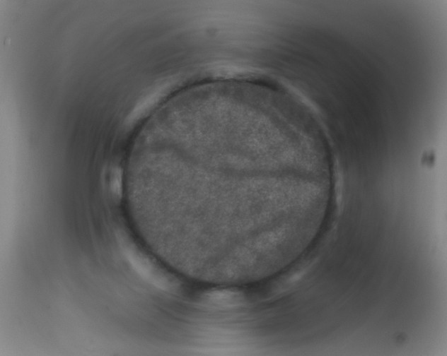 X0000113860067200910221450