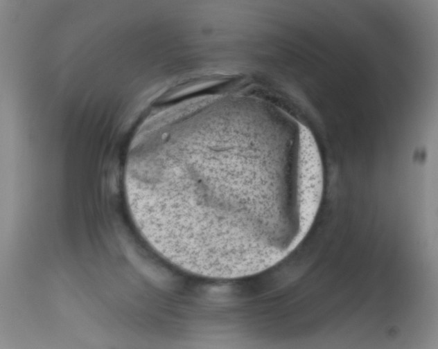 X0000113860068200910221450