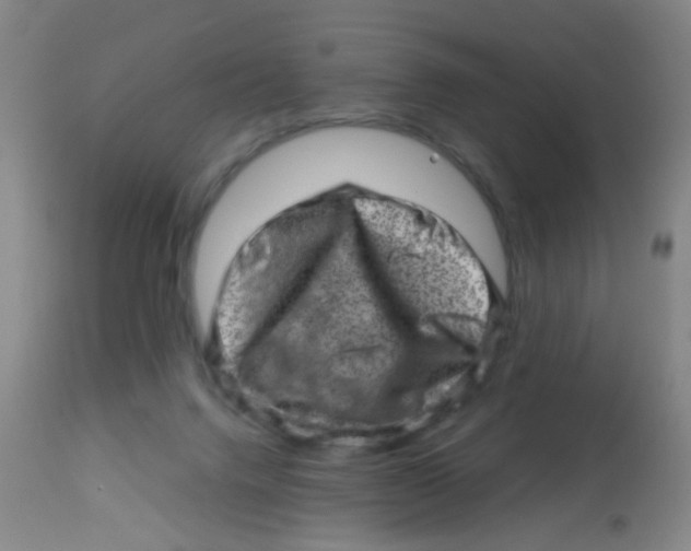 X0000113860072200910221450