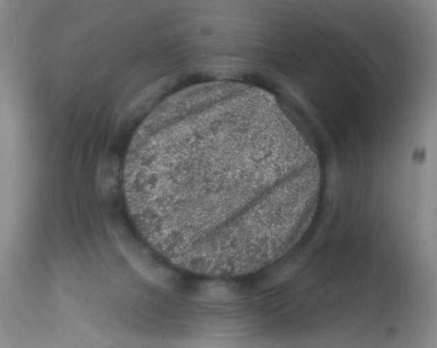 X0000113860073200910221450
