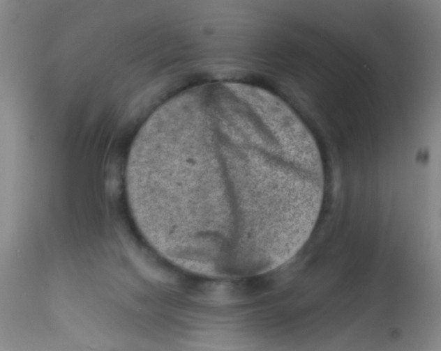X0000113860074200910221450