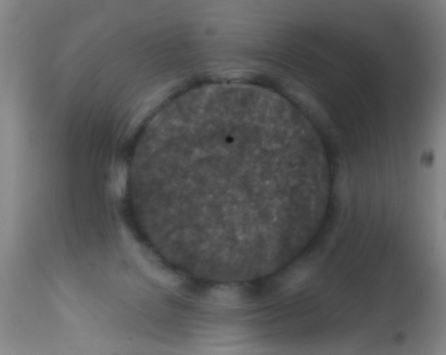 X0000113860076200910221450