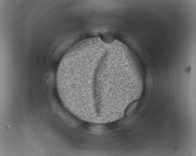X0000113860079200910221450