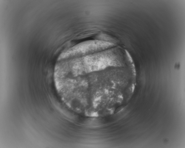 X0000113860082200910221450