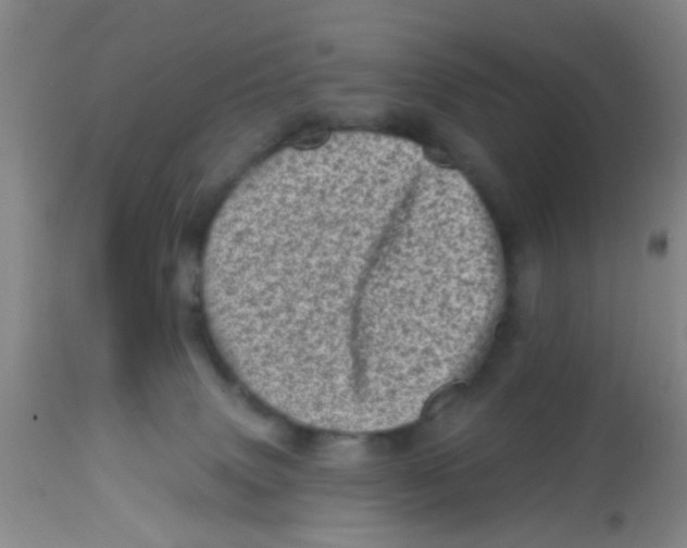 X0000113860083200910221450