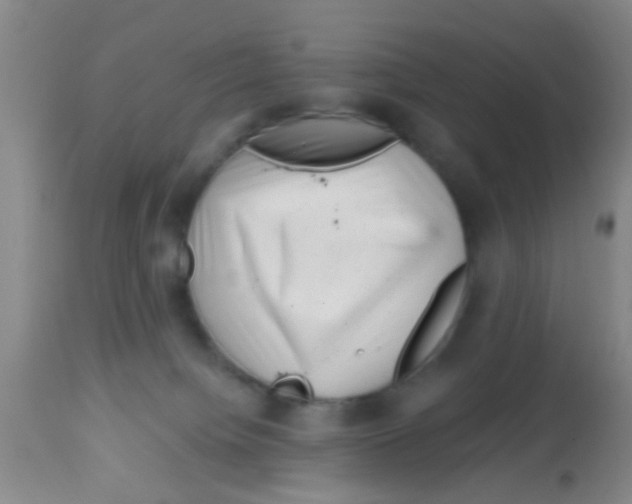X0000113860084200910221451