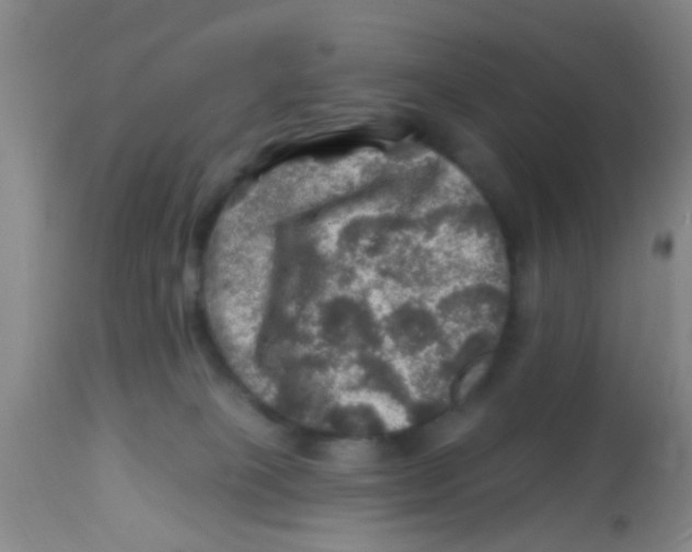X0000113860085200910221451