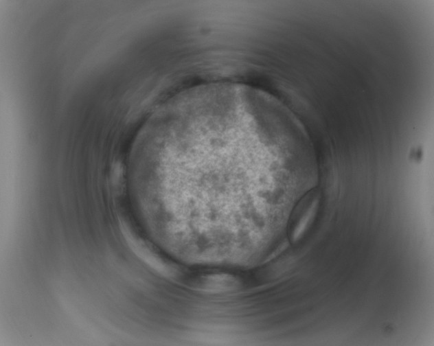 X0000113860087200910221451