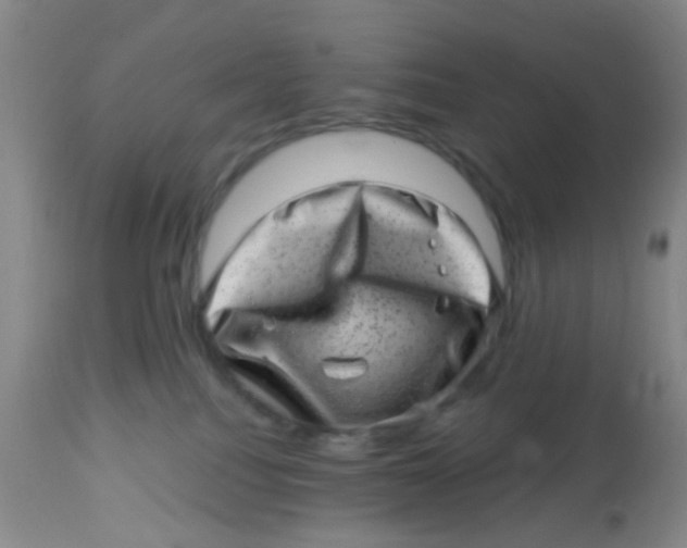 X0000113860088200910221451