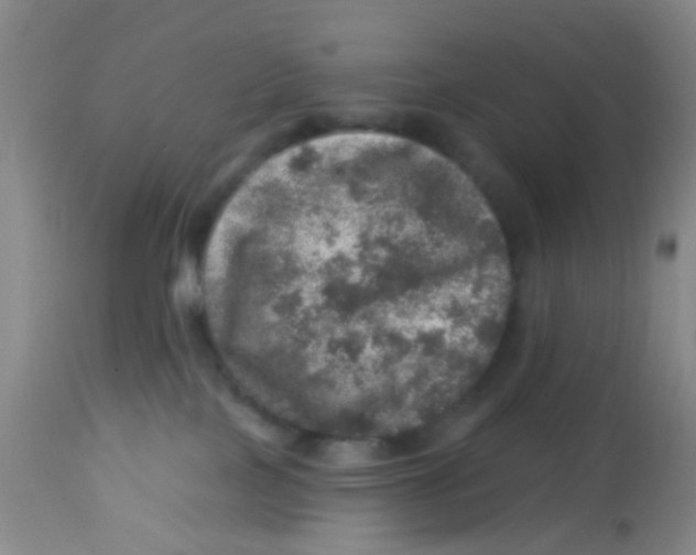 X0000113860089200910221451