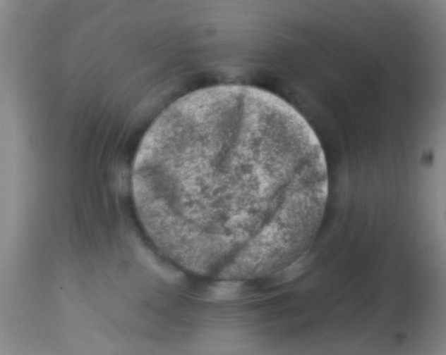 X0000113860090200910221451