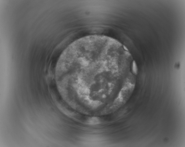 X0000113860091200910221451