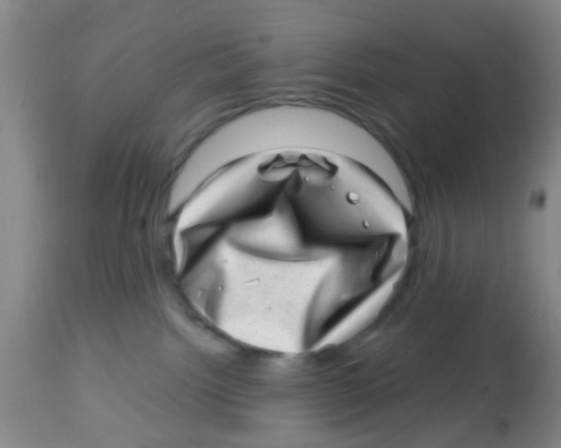 X0000113860092200910221451