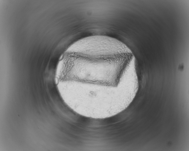 X0000113860093200910221451