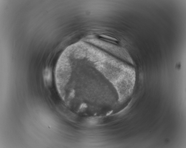 X0000113860094200910221451