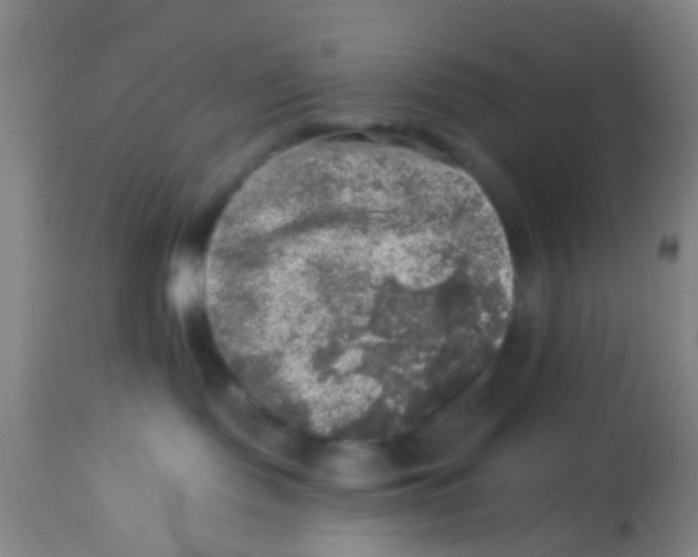 X0000113860095200910221451