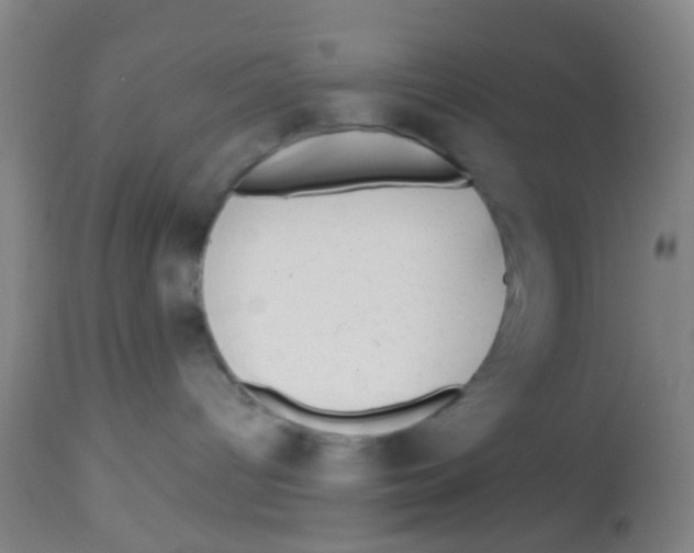 X0000113860096200910221451