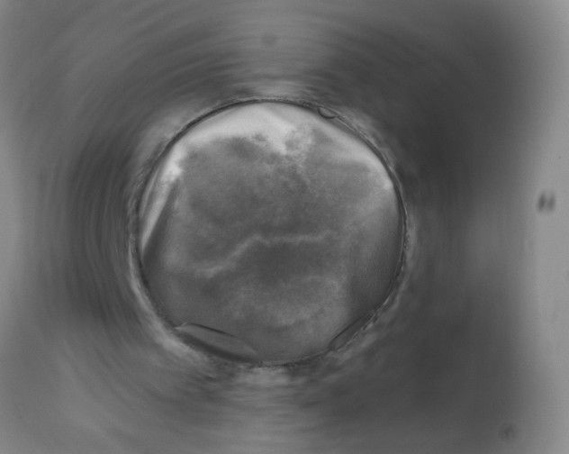 X0000113860097200910221450
