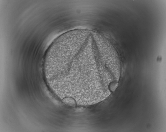 X0000113860098200910221450