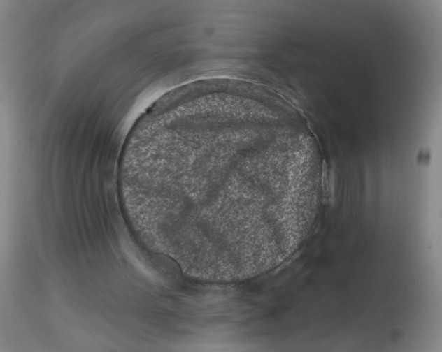 X0000113860099200910221450