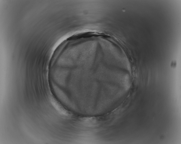 X0000113860100200910221450