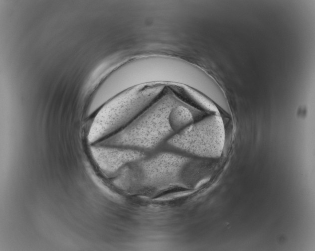 X0000113860101200910221450