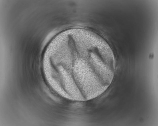 X0000113860102200910221450