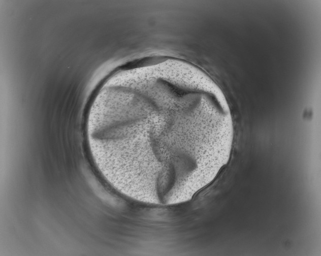 X0000113860104200910221450