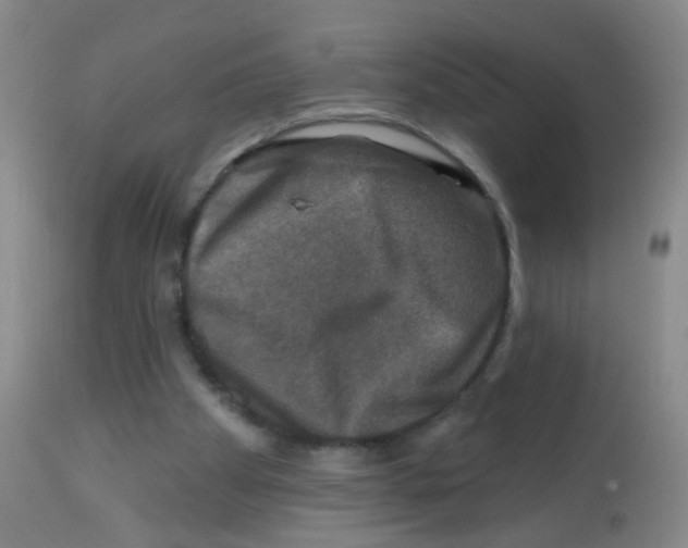 X0000113860105200910221450