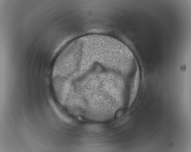 X0000113860106200910221450