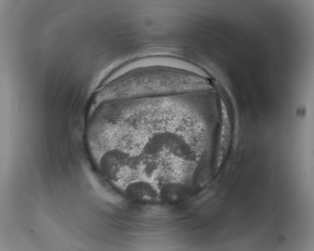 X0000113860107200910221450
