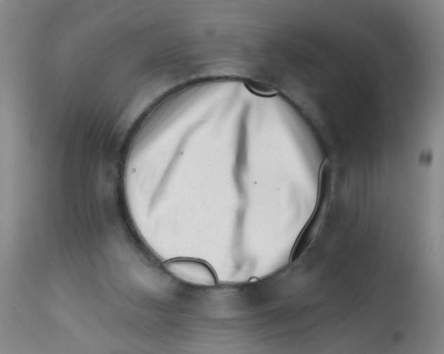 X0000113860108200910221450